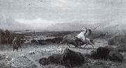 Albert Bierstadt Der Letzte Buffel painting